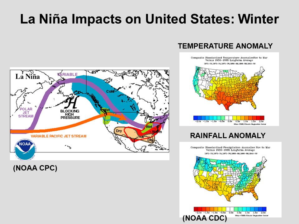 La Niña Impacts on United States: Winter TEMPERATURE ANOMALY RAINFALL ANOMALY (NOAA CPC) (NOAA CDC)