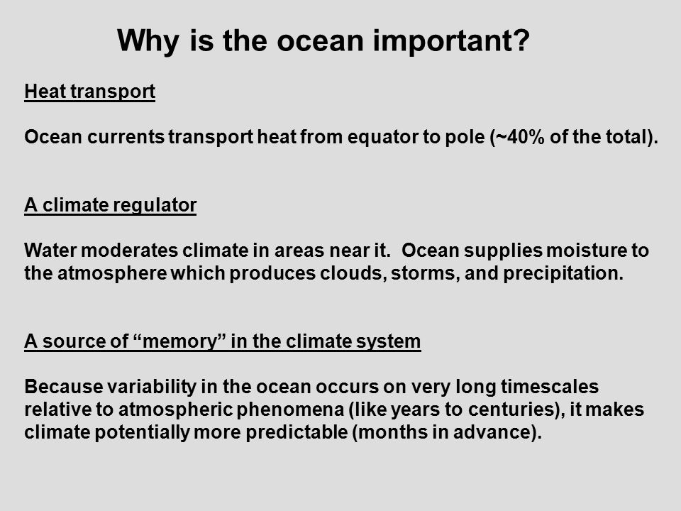 Why is the ocean important.
