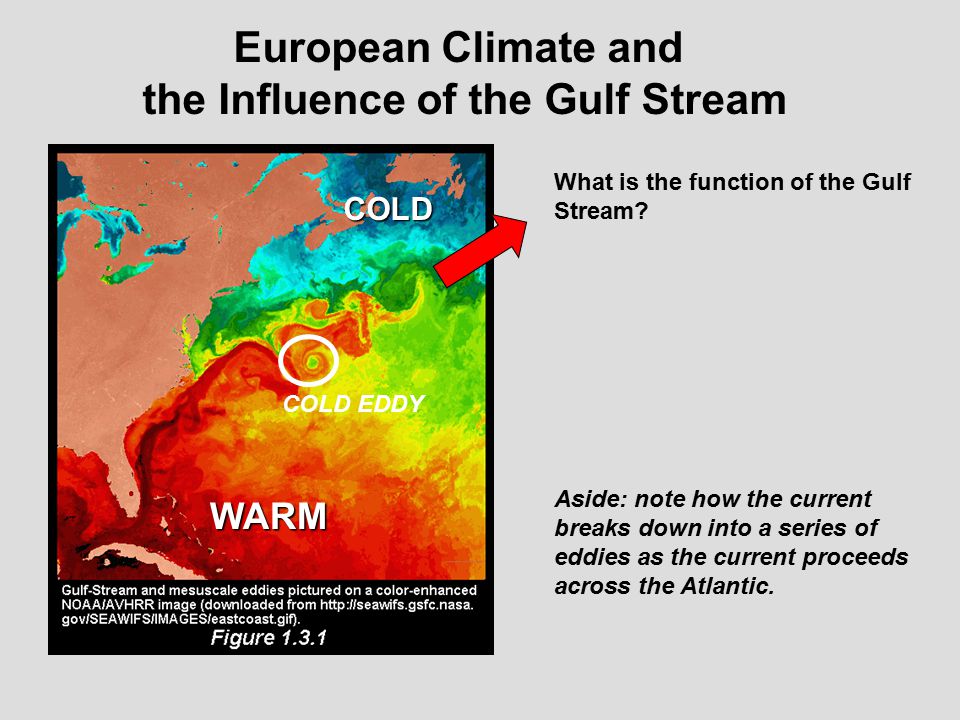 What is the function of the Gulf Stream.