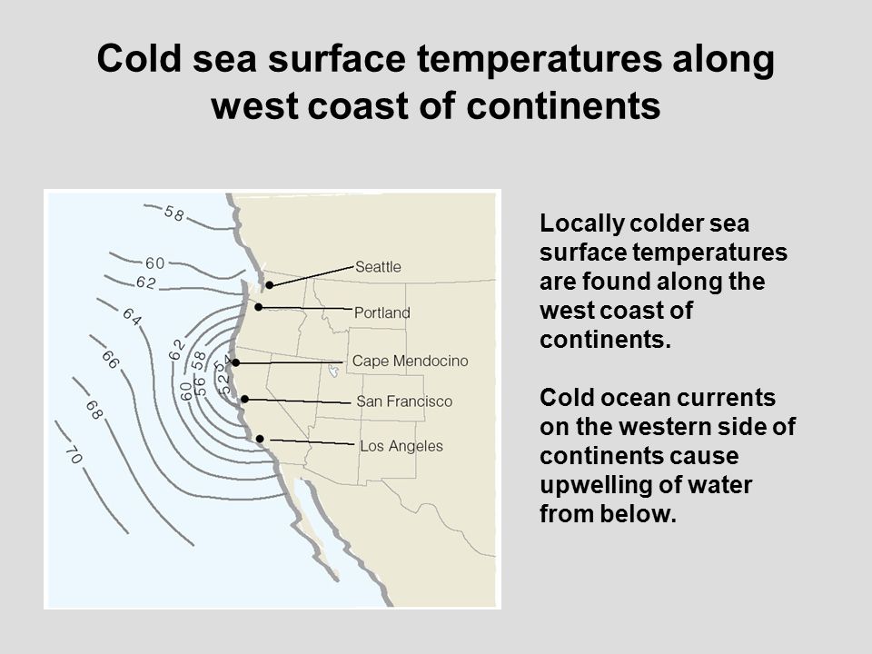 Cold sea surface temperatures along west coast of continents Locally colder sea surface temperatures are found along the west coast of continents.