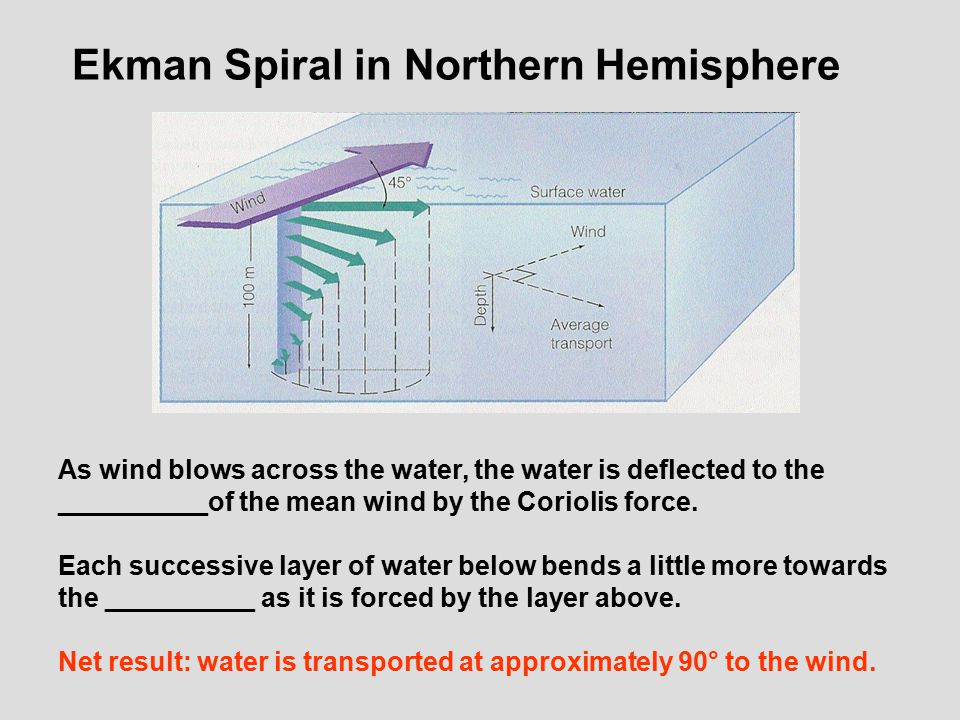 Ekman Spiral in Northern Hemisphere As wind blows across the water, the water is deflected to the __________of the mean wind by the Coriolis force.