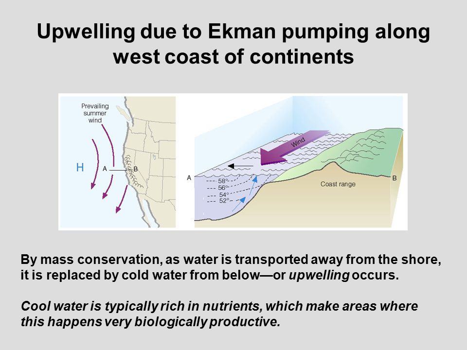 Upwelling due to Ekman pumping along west coast of continents By mass conservation, as water is transported away from the shore, it is replaced by cold water from below—or upwelling occurs.