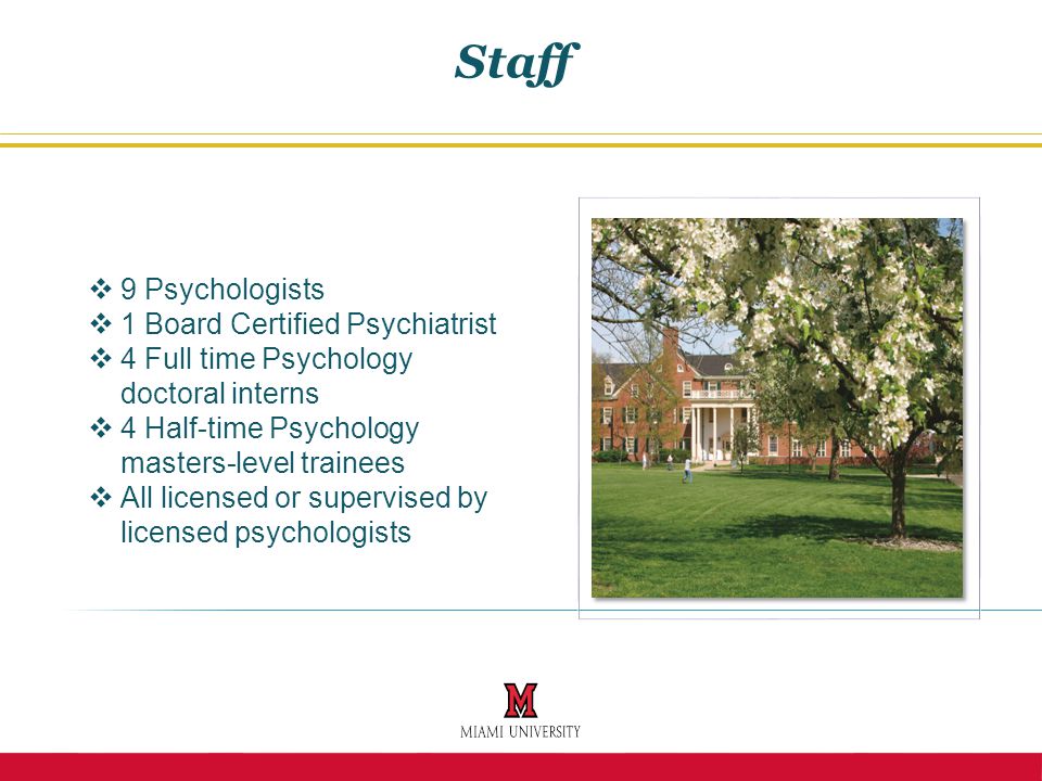  9 Psychologists  1 Board Certified Psychiatrist  4 Full time Psychology doctoral interns  4 Half-time Psychology masters-level trainees  All licensed or supervised by licensed psychologists Staff