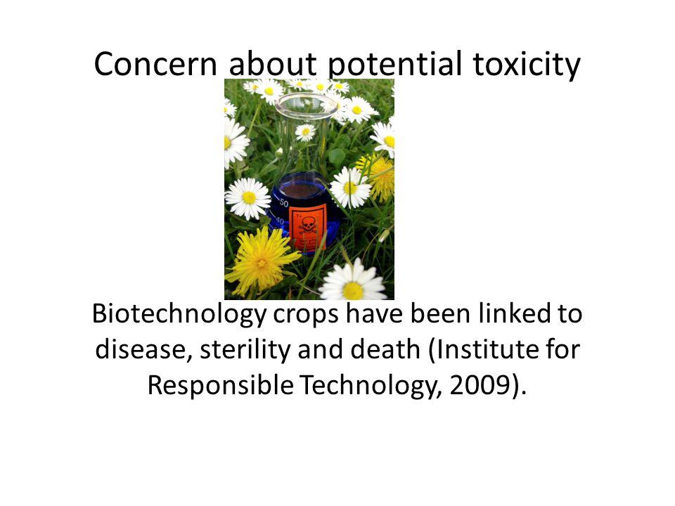 Concern about potential toxicity Biotechnology crops have been linked to disease, sterility and death (Institute for Responsible Technology, 2009).