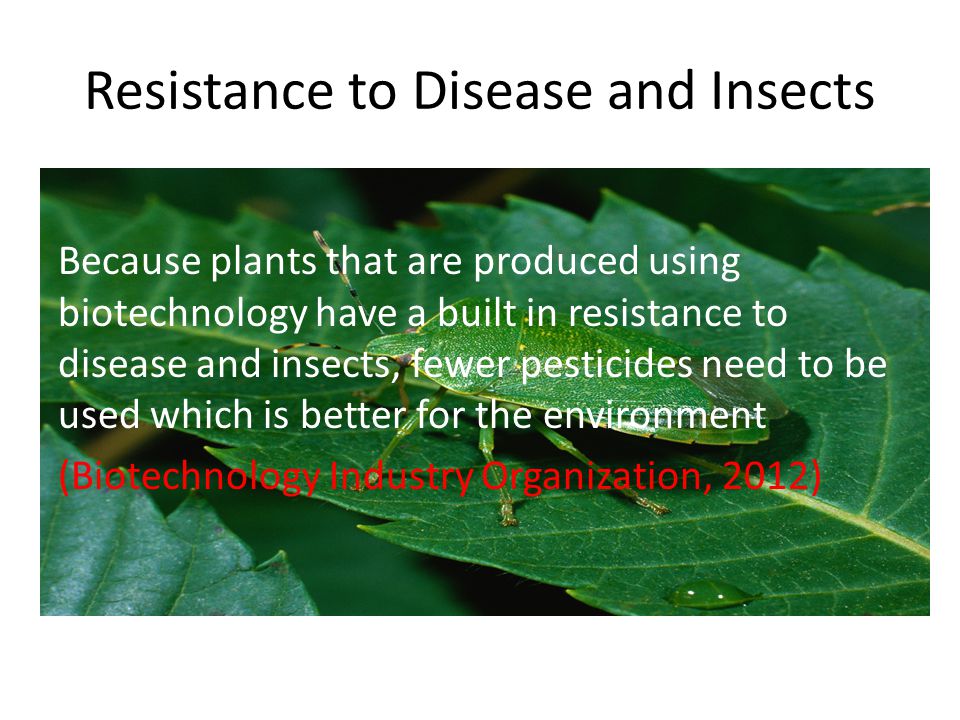Resistance to Disease and Insects Because plants that are produced using biotechnology have a built in resistance to disease and insects, fewer pesticides need to be used which is better for the environment (Biotechnology Industry Organization, 2012)