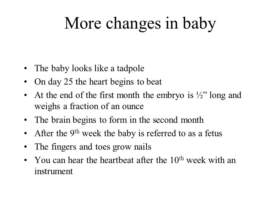 pregnancy trimesters health class first trimester changes in baby when does a baby form a heart