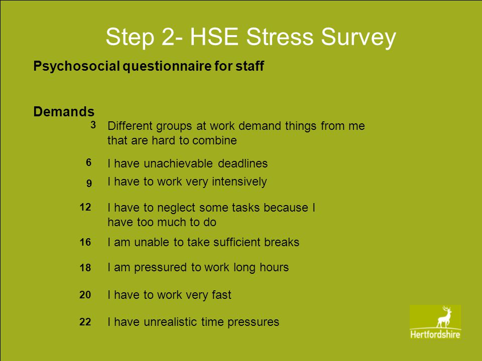 Step 2- HSE Stress Survey Psychosocial questionnaire for staff I have unrealistic time pressures 22 I have to work very fast 20 I am pressured to work long hours 18 I am unable to take sufficient breaks 16 I have to neglect some tasks because I have too much to do 12 I have to work very intensively 9 I have unachievable deadlines 6 Different groups at work demand things from me that are hard to combine 3 Demands