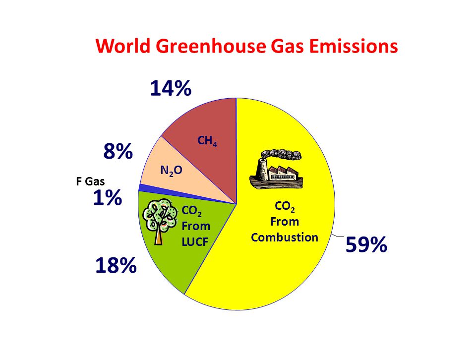 18% 1% 8% 14% 59% World Greenhouse Gas Emissions CH 4 N2ON2O F Gas CO 2 From Combustion CO 2 From LUCF