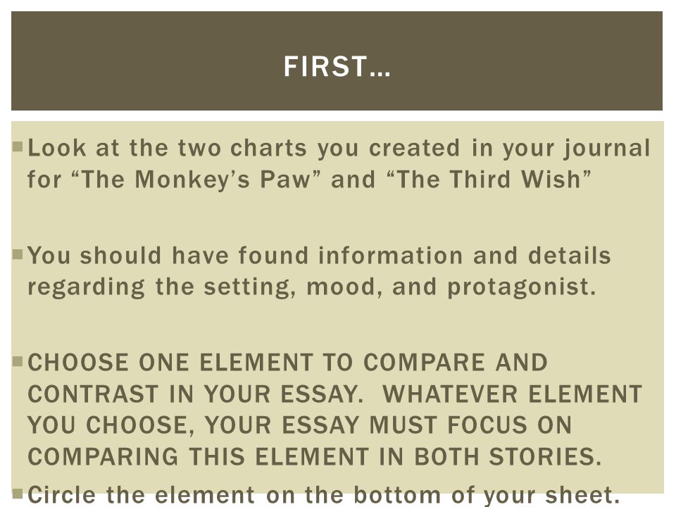 position essay position essay