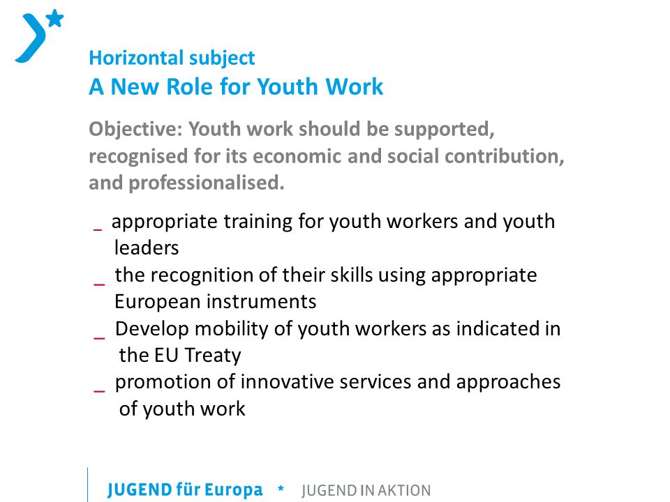 Horizontal subject A New Role for Youth Work Objective: Youth work should be supported, recognised for its economic and social contribution, and professionalised.
