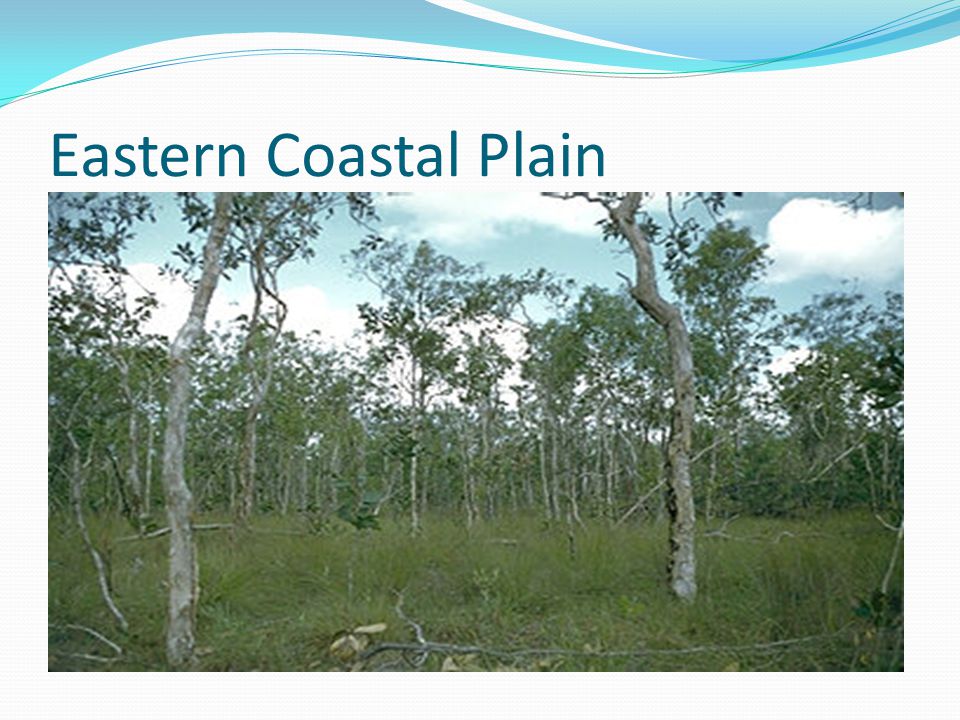 Eastern Coastal Plain