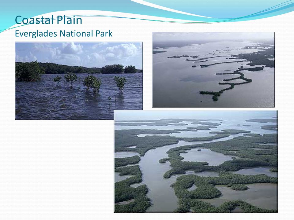 Coastal Plain Everglades National Park