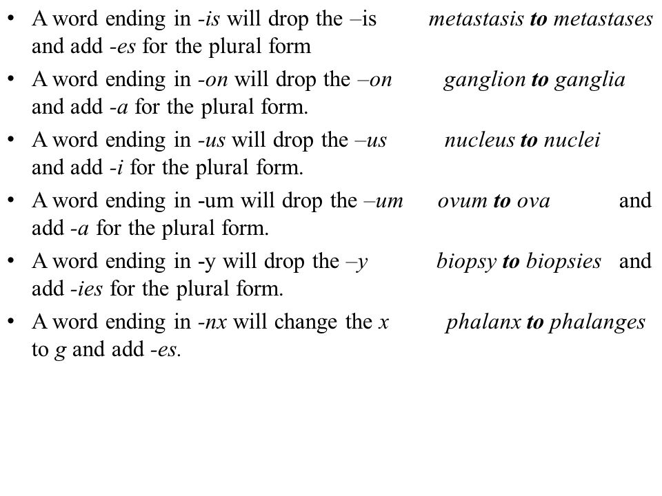 english terminology second semester lecture 1 by ass lect hayman singular form of ganglia