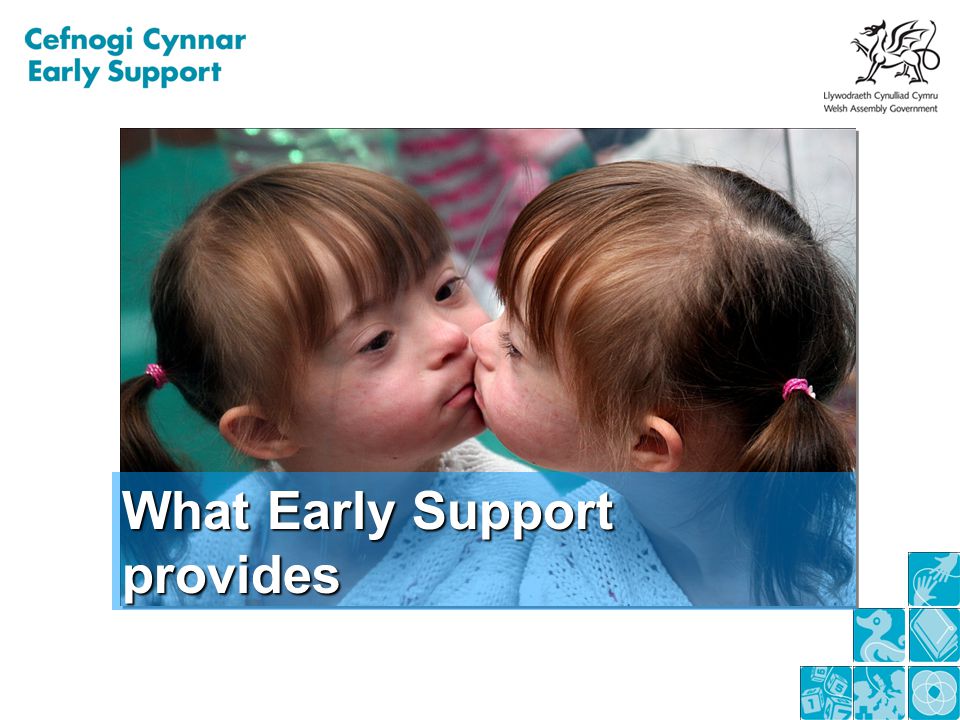 What Early Support provides