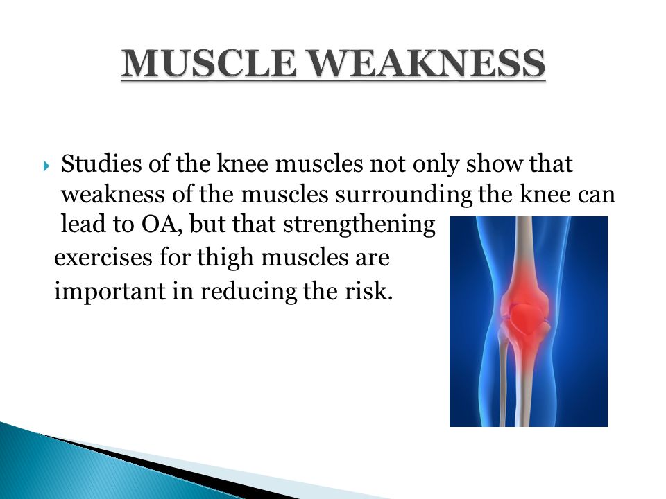  Studies of the knee muscles not only show that weakness of the muscles surrounding the knee can lead to OA, but that strengthening exercises for thigh muscles are important in reducing the risk.