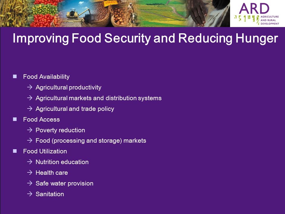 Improving Food Security and Reducing Hunger Food Availability  Agricultural productivity  Agricultural markets and distribution systems  Agricultural and trade policy Food Access  Poverty reduction  Food (processing and storage) markets Food Utilization  Nutrition education  Health care  Safe water provision  Sanitation