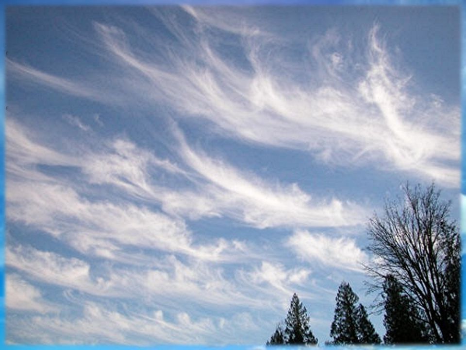 Clouds Stratus clouds form in layers that cover large areas of the sky Cirrus clouds are thin, feathery, white clouds found at high altitudes