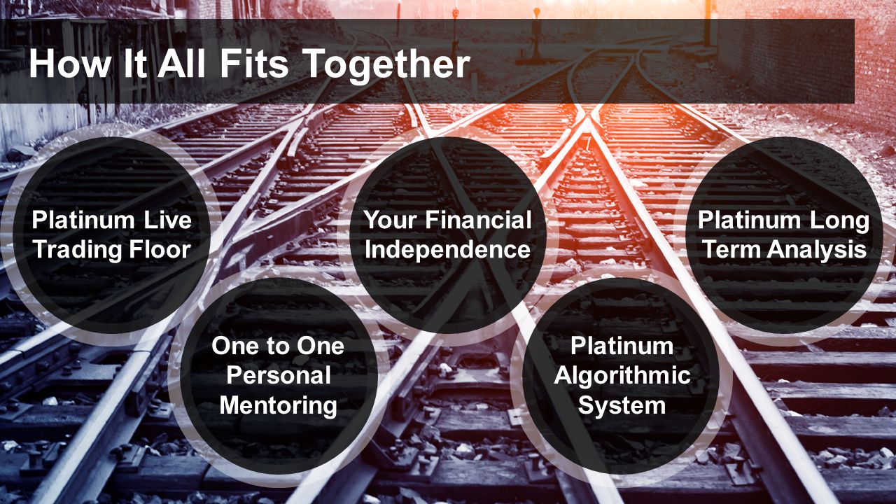 How It All Fits Together Platinum Live Trading Floor Your Financial Independence Platinum Long Term Analysis One to One Personal Mentoring Platinum Algorithmic System