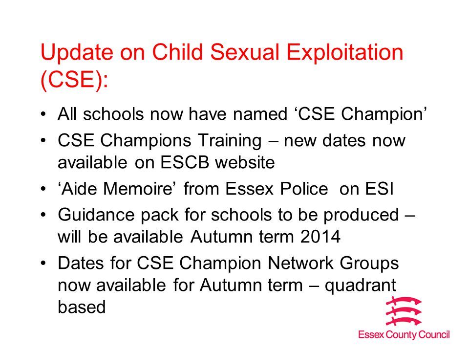 Update on Child Sexual Exploitation (CSE): All schools now have named ‘CSE Champion’ CSE Champions Training – new dates now available on ESCB website ‘Aide Memoire’ from Essex Police on ESI Guidance pack for schools to be produced – will be available Autumn term 2014 Dates for CSE Champion Network Groups now available for Autumn term – quadrant based