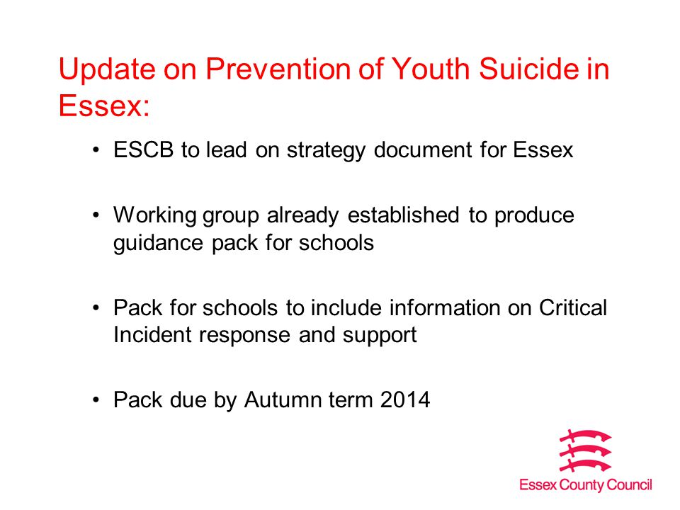 Update on Prevention of Youth Suicide in Essex: ESCB to lead on strategy document for Essex Working group already established to produce guidance pack for schools Pack for schools to include information on Critical Incident response and support Pack due by Autumn term 2014