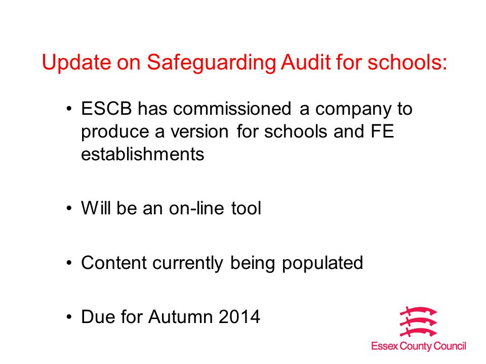 Update on Safeguarding Audit for schools: ESCB has commissioned a company to produce a version for schools and FE establishments Will be an on-line tool Content currently being populated Due for Autumn 2014