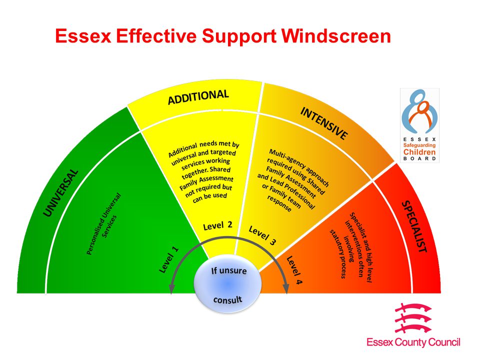 Essex Effective Support Windscreen