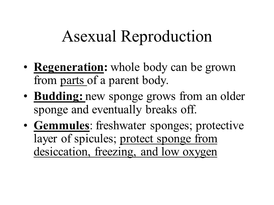Asexual Reproduction Regeneration: whole body can be grown from parts of a parent body.
