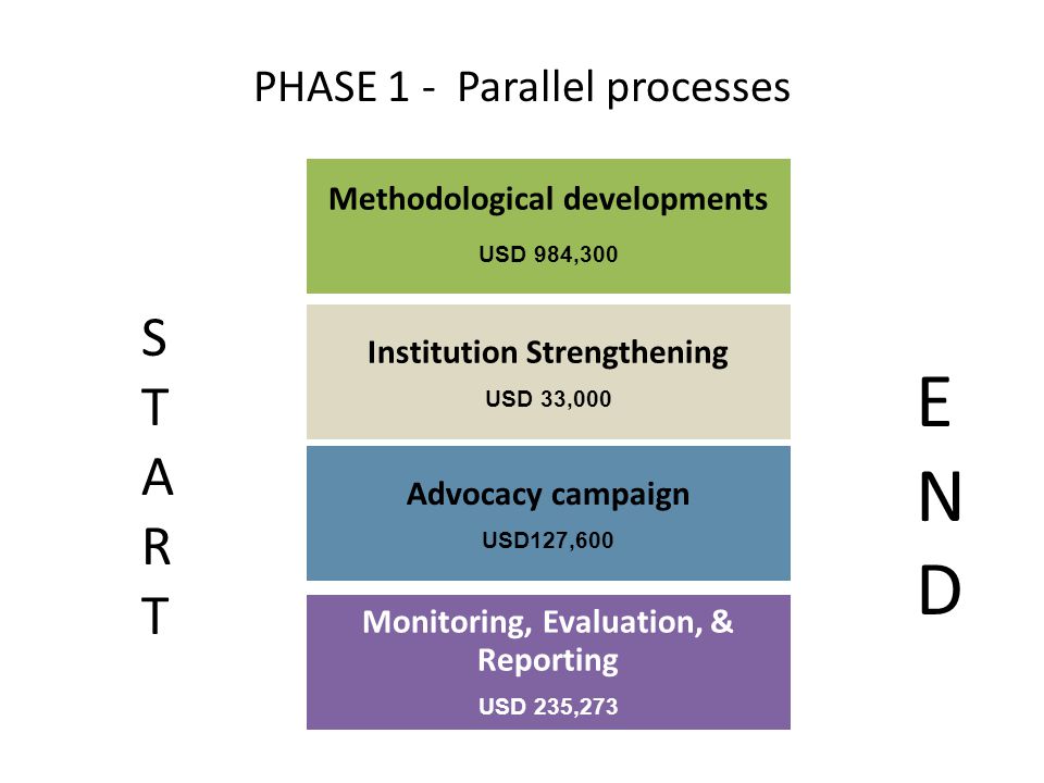 PHASE 1 - Parallel processes Methodological developments USD 984,300 Institution Strengthening USD 33,000 Advocacy campaign USD127,600 Monitoring, Evaluation, & Reporting USD 235,273 STARTSTART ENDEND