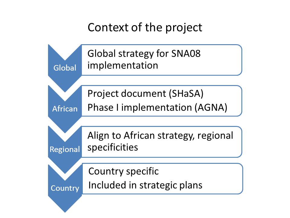 Context of the project Global Global strategy for SNA08 implementation African Project document (SHaSA) Phase I implementation (AGNA) Regional Align to African strategy, regional specificities Country Country specific Included in strategic plans