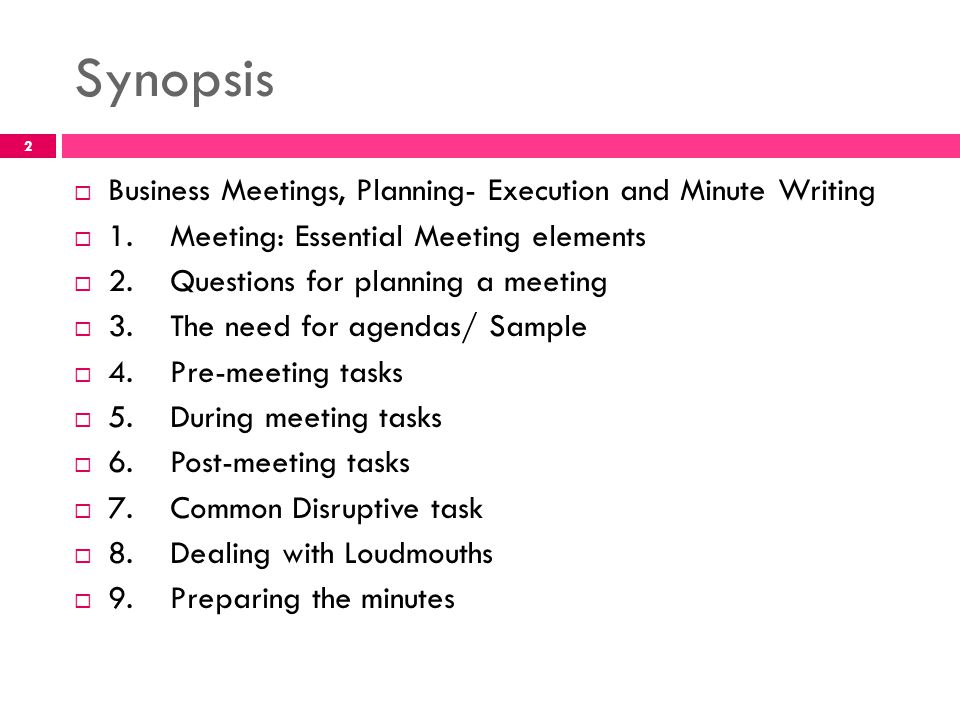 meeting synopsis