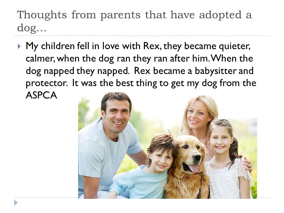 Thoughts from parents that have adopted a dog…  My children fell in love with Rex, they became quieter, calmer, when the dog ran they ran after him.