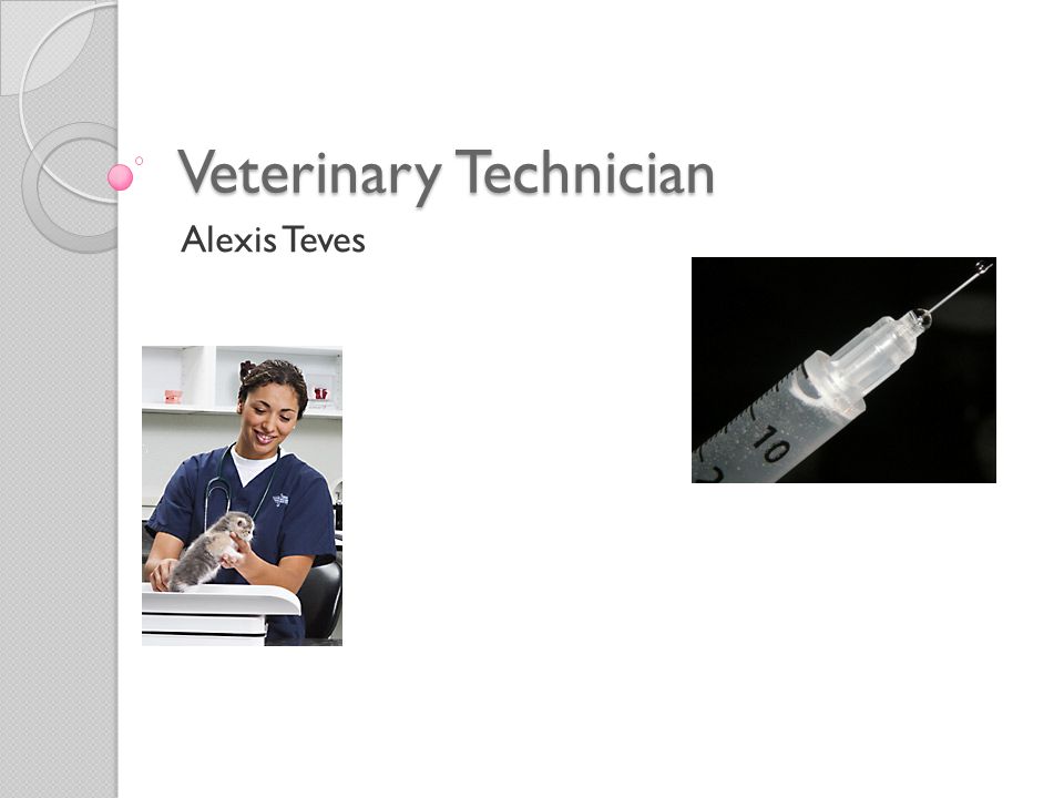 Veterinary Technician Alexis Teves