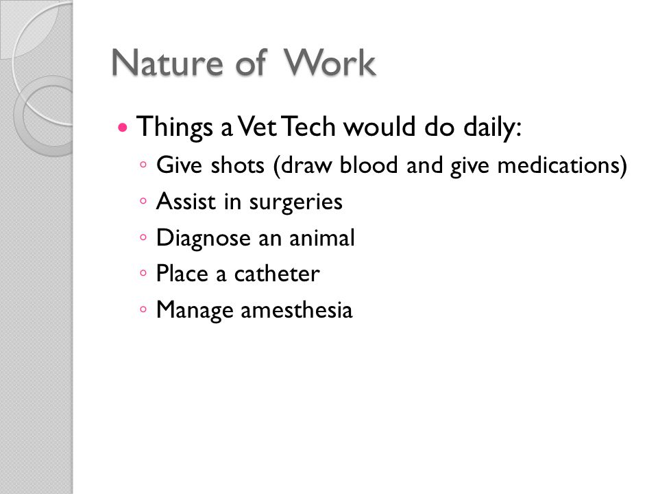 Nature of Work Things a Vet Tech would do daily: ◦ Give shots (draw blood and give medications) ◦ Assist in surgeries ◦ Diagnose an animal ◦ Place a catheter ◦ Manage amesthesia