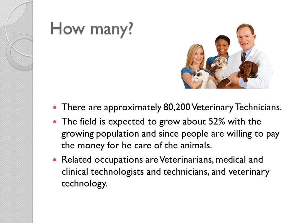 How many. There are approximately 80,200 Veterinary Technicians.