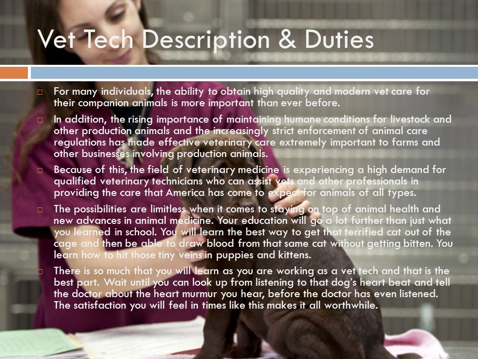 Vet Tech Description & Duties  For many individuals, the ability to obtain high quality and modern vet care for their companion animals is more important than ever before.