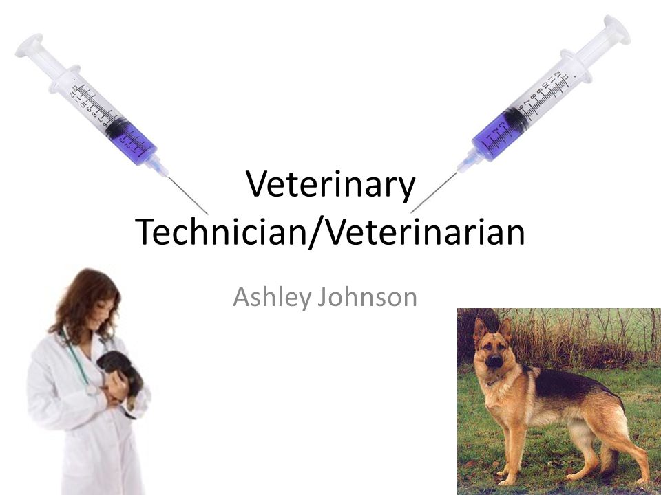 Veterinary Technician/Veterinarian Ashley Johnson