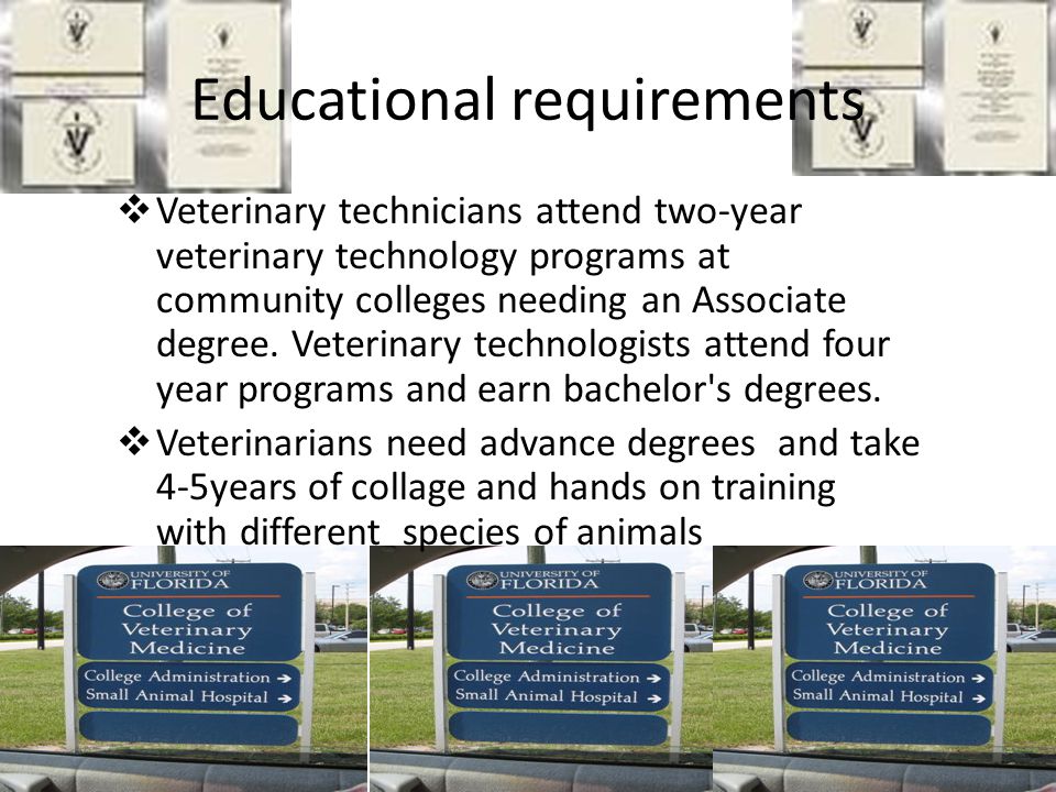 Educational requirements  Veterinary technicians attend two-year veterinary technology programs at community colleges needing an Associate degree.