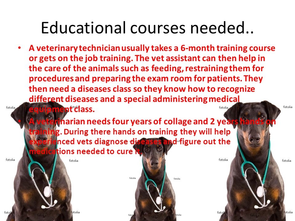 Educational courses needed..