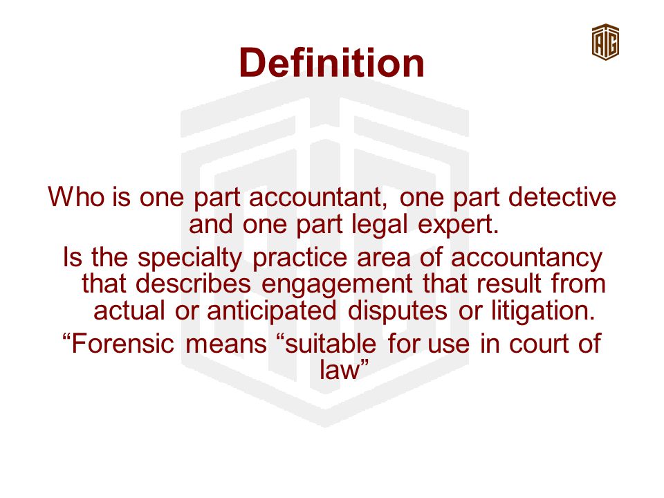 Definition Who is one part accountant, one part detective and one part legal expert.