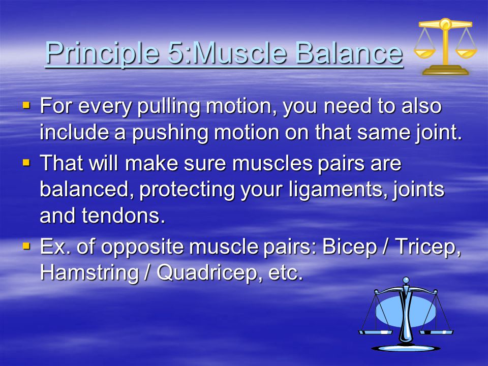 Principle 5:Muscle Balance  For every pulling motion, you need to also include a pushing motion on that same joint.