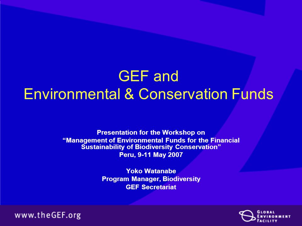 GEF and Environmental & Conservation Funds Presentation for the Workshop on Management of Environmental Funds for the Financial Sustainability of Biodiversity Conservation Peru, 9-11 May 2007 Yoko Watanabe Program Manager, Biodiversity GEF Secretariat