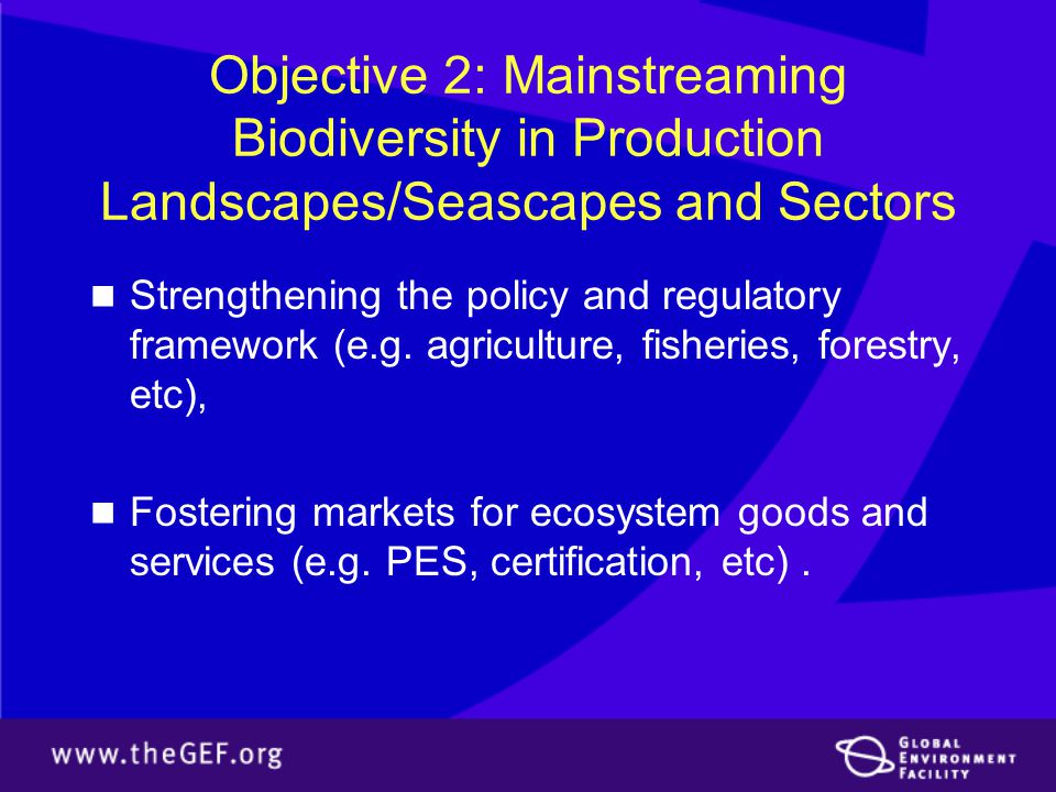 Objective 2: Mainstreaming Biodiversity in Production Landscapes/Seascapes and Sectors Strengthening the policy and regulatory framework (e.g.