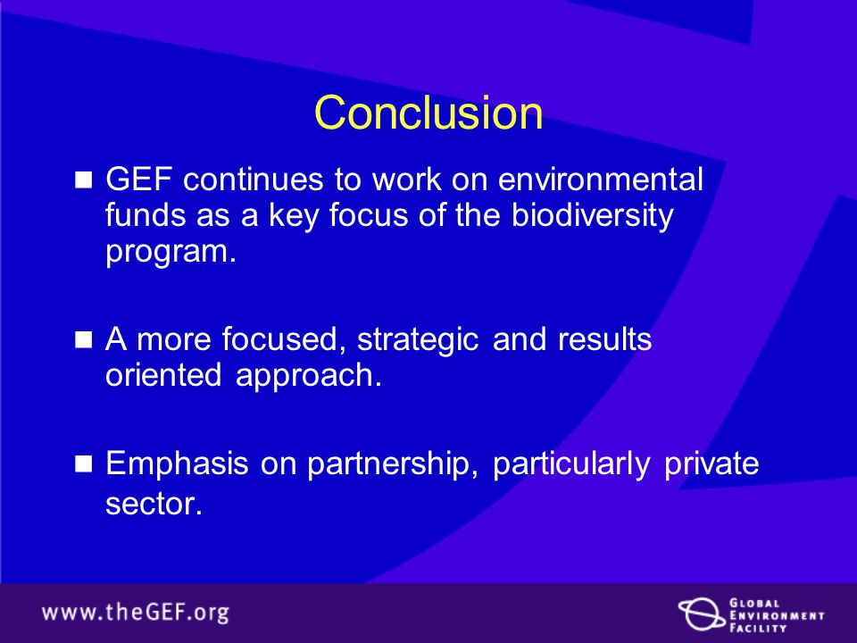 Conclusion GEF continues to work on environmental funds as a key focus of the biodiversity program.