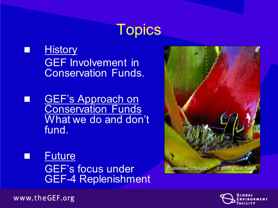 Topics History GEF Involvement in Conservation Funds.