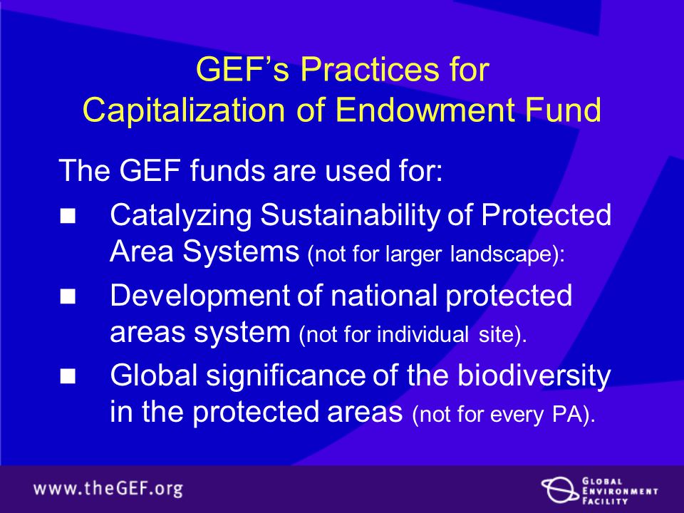 GEF’s Practices for Capitalization of Endowment Fund The GEF funds are used for: Catalyzing Sustainability of Protected Area Systems (not for larger landscape): Development of national protected areas system (not for individual site).