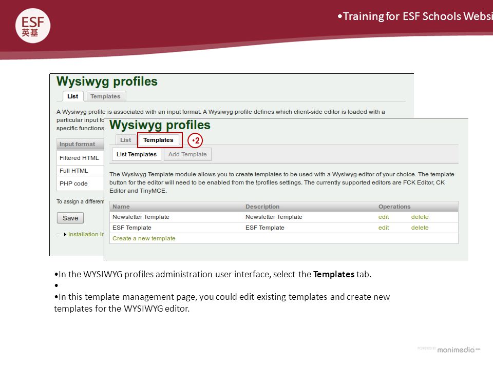 Training for ESF Schools Website 2 In the WYSIWYG profiles administration user interface, select the Templates tab.