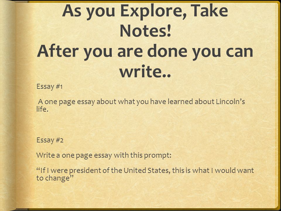 If I Was President Essay