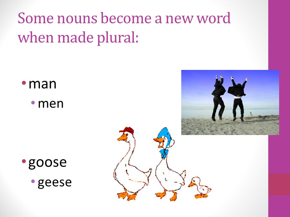 Some nouns do not change at all when made plural: sheep deer