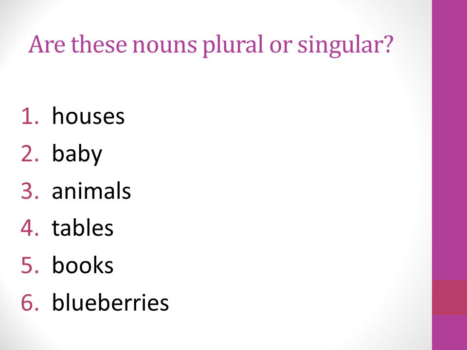 Plural Nouns Plural nouns name more than one person, place, or thing.