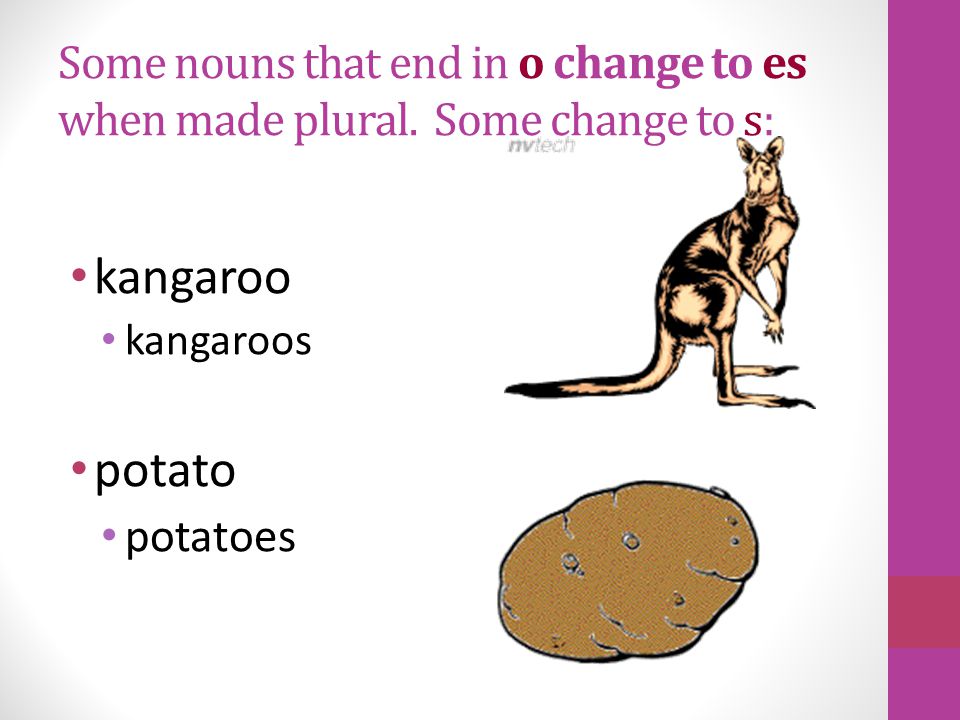 Some nouns that end in f or fe change to ves when made plural: calf calves knife knives